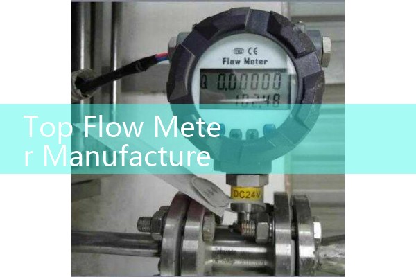 Vortex Mass Flow Meter